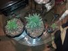 20121130_200127.jpg 20121130_200127.jpg