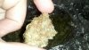 2012-12-01_19-21-04_902.jpg 2012-12-01_19-21-04_902.jpg