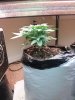 20121203_003325.jpg