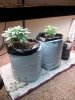 20121203_003302.jpg