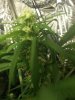 2012-12-02_17-48-41_22-603214101.jpg