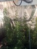 2012-12-02_17-31-19_8101588267430.jpg