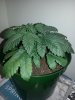 20121203_170053.jpg