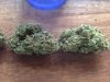 nugs.jpg