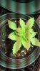 2012-11-27_08-43-04_238.jpg