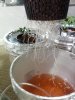 IMG_20121205_111755.jpg