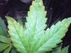 20121206_223353.jpg 20121206_223353.jpg