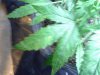 20121206_223510.jpg 20121206_223510.jpg