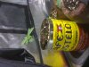 tin can 4th set sprouting diff angle.jpg