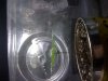 tin can 4th set sprouting.jpg