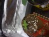 small jiffy peat green.JPG