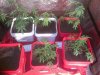 IMG-20121207-00185.jpg