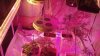 2012-12-07_14-41-39_739.jpg