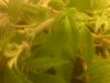 IMG00165-20121207-2314.jpg