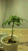 2012-12-08_15-51-08_955.jpg