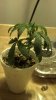 2012-12-08_15-51-17_641.jpg