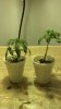 2012-12-08_15-51-45_12.jpg