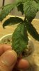 2012-12-08_15-54-45_505.jpg
