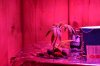 2012-12-08 19.00.49.jpg
