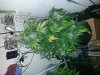 20121209_113330.jpg