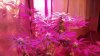 2012-12-09_14-07-22_652.jpg