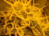 first grow 288.jpg
