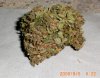 Purp_White_Widow.jpg