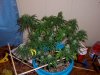 100_2883.jpg