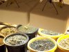 100_1250.jpg