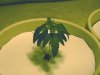 Droop # 2.JPG
