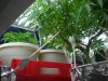 DSCN1579.JPG