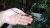 2012-12-09_20-20-51_725.jpg