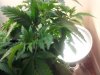 20121108_113829.jpg 20121108_113829.jpg