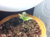 20121108_113947.jpg