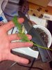 2012-12-08_01-39-04_871.jpg