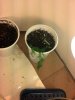 2012-12-08_01-40-25_769.jpg