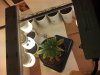 2012-12-06_23-00-27_87.jpg