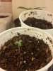 2012-12-10_01-24-18_229.jpg