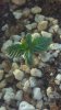 2012-12-11_13-23-33_722nd.jpg