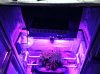 Veg Chamber001.jpg Veg Chamber001.jpg