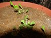 DSC02539.jpg