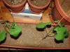 DSC02541.jpg
