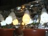 DSC00450.jpg