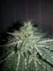 20121216_092332.jpg