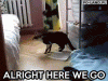 ok_here_we_go_zps58ef866a.gif
