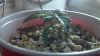 2012-12-17_09-09-56_93.jpg