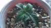 2012-12-17_09-10-08_433.jpg