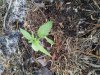 20121217_120732.jpg 20121217_120732.jpg