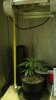 2012-12-18_10-46-47_233.jpg 2012-12-18_10-46-47_233.jpg