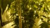 DSC01245.jpg